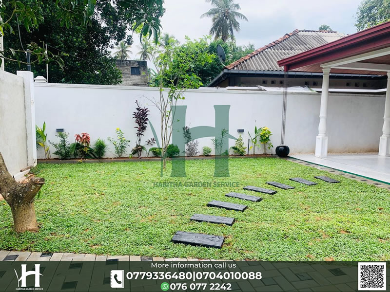 haritha_garden_service (16)