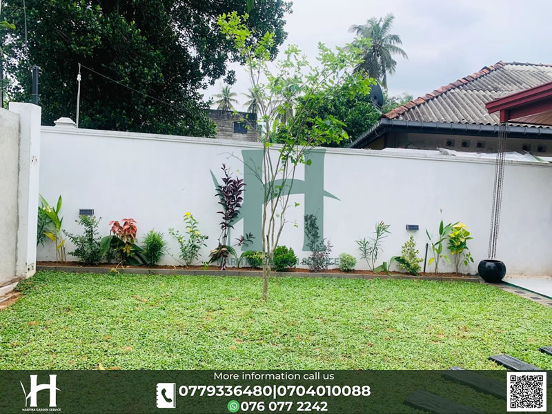 haritha_garden_service (18)