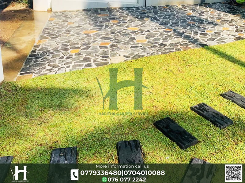 haritha_garden_service (21)