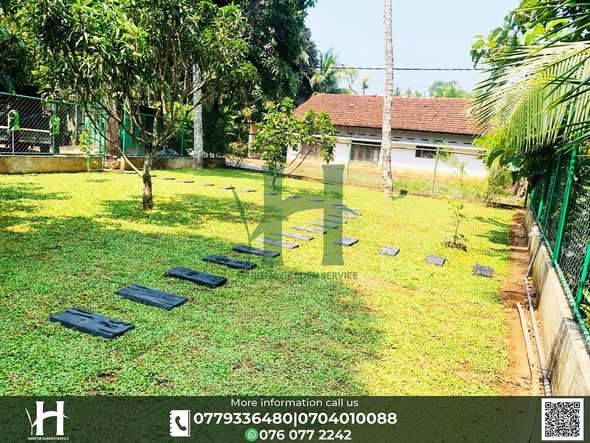 haritha_garden_service (22)