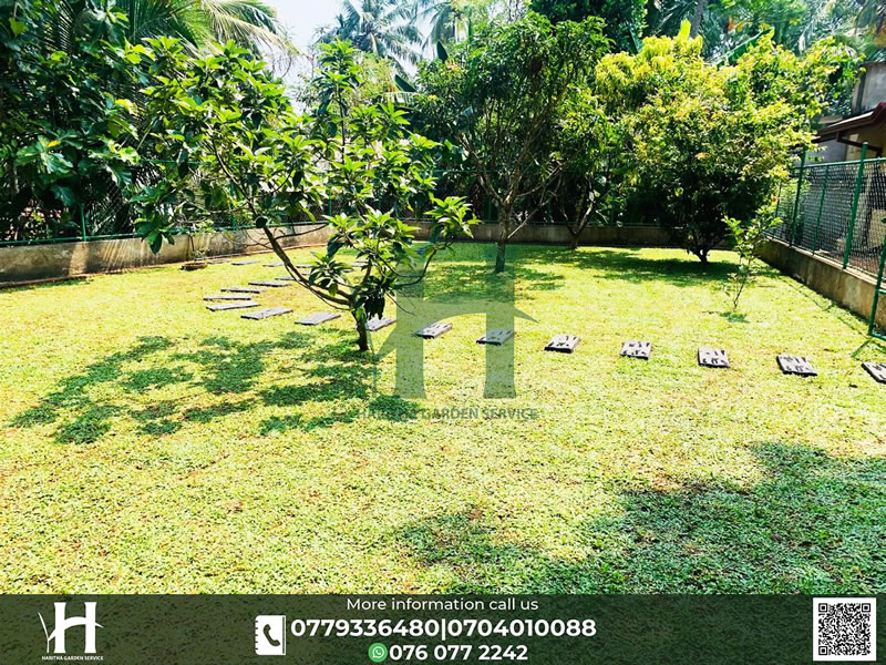 haritha_garden_service (23)
