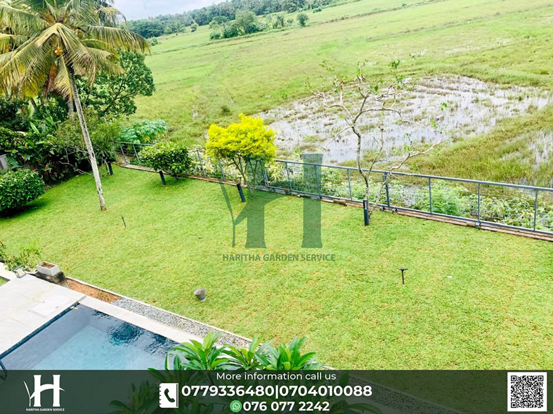 haritha_garden_service (36)