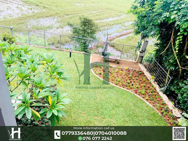 haritha_garden_service (37)
