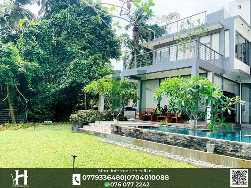 haritha_garden_service (38)