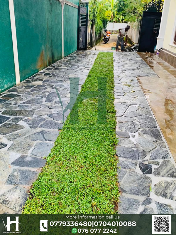 haritha_garden_service (9)